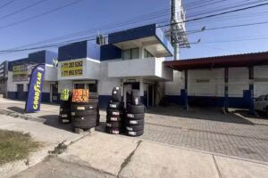 1000 neumáticos