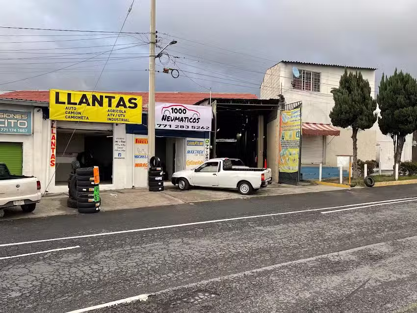 1000 Neum&aacute;ticos