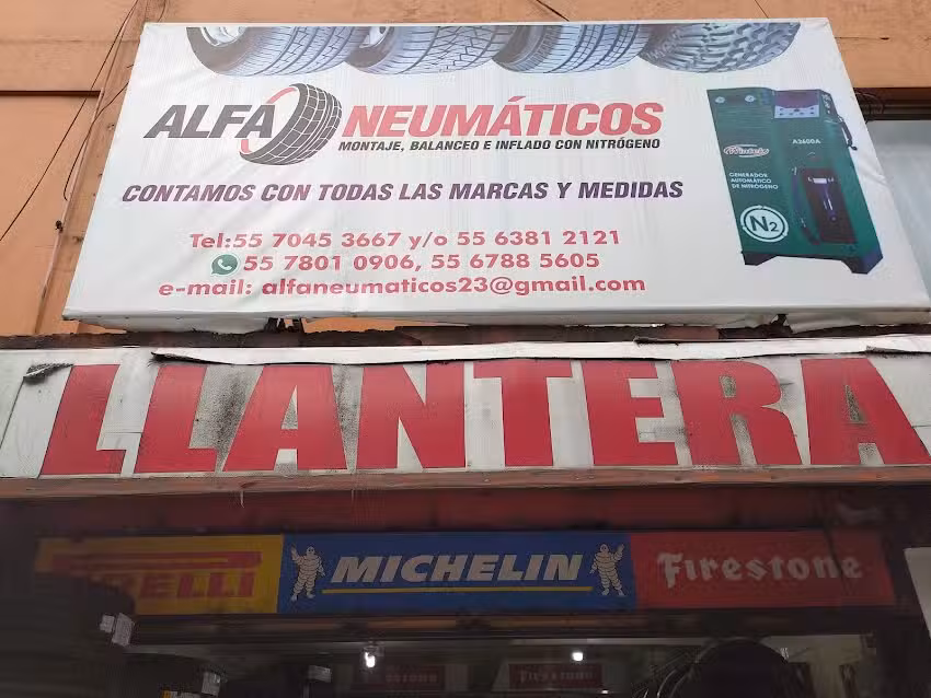 ALFA NEUMATICOS