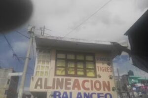 Alineaci&oacute;n y Balanceo LOS TIGRES
