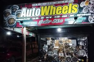 Auto wheels coatza