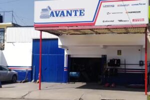 Avante Llantas Jardines
