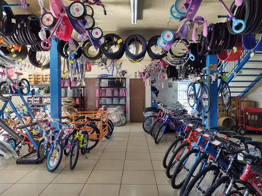 Bici Partes