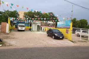 car wash Y llantera frida