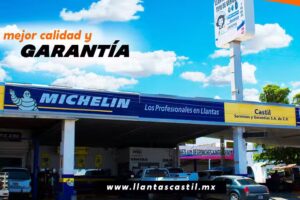 CASTIL SERVICIOS Y GARANTIAS S.A DE C.V