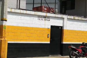 Continental Tires