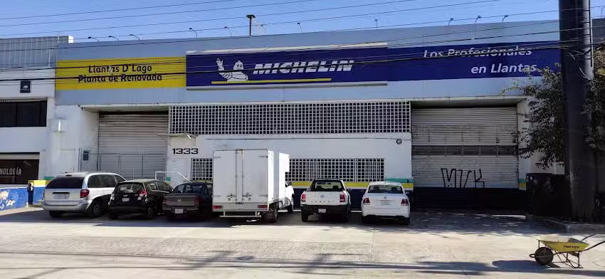 D&rsquo;Lago Planta De Renovado