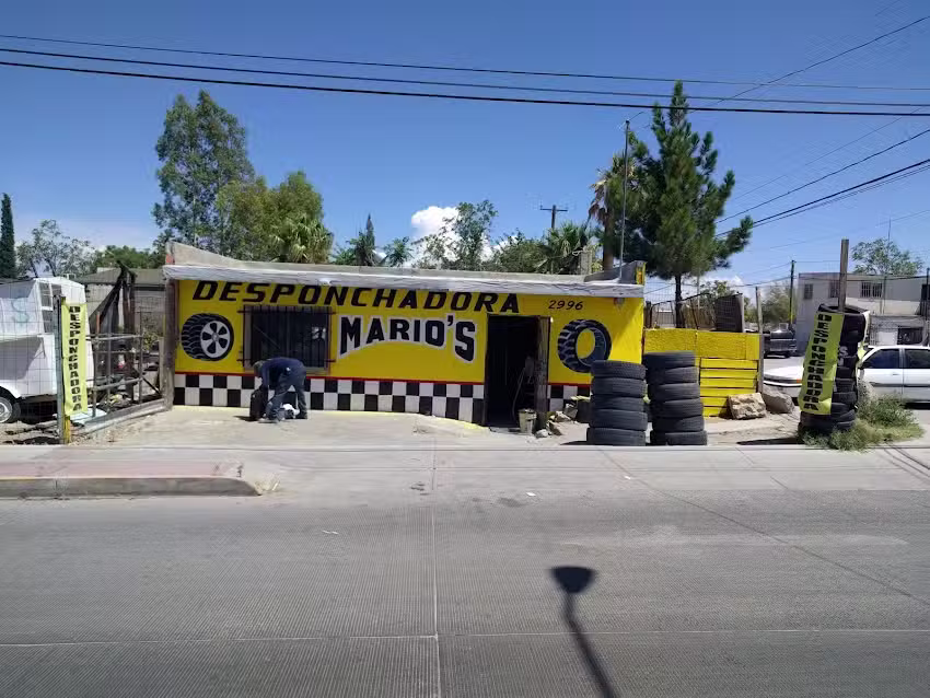 Desponchadora mario&rsquo;s