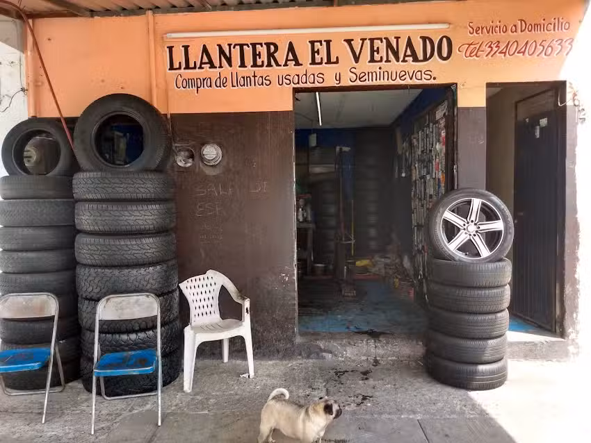 EL VENADO