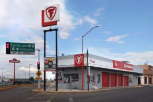 Firestone PIASA Delicias
