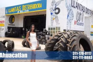 Gira Multillantas