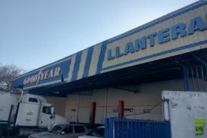 Goodyear Actopan