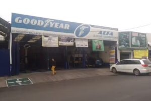 Goodyear Dunlop Kumho Hankook Grupo Alfa