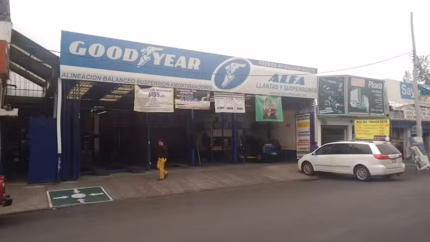Goodyear Dunlop Kumho Hankook Grupo Alfa