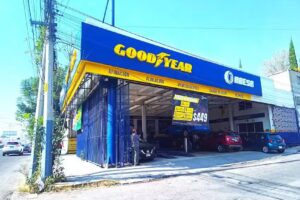 Goodyear Haesa Echegaray