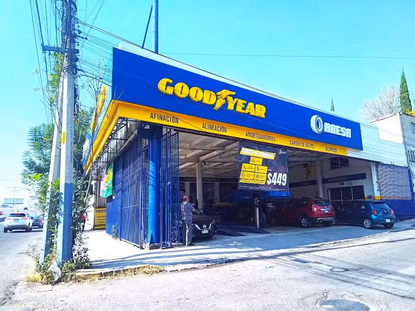 Goodyear Haesa Echegaray