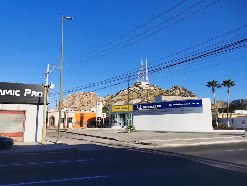 Grupo Ayala