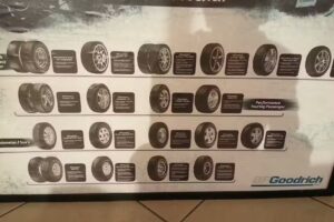 Grupo Ayala &ndash; Sucursal Ganaderos