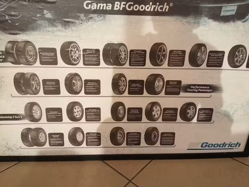 Grupo Ayala &ndash; Sucursal Ganaderos