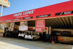 GRUPO LOTUS