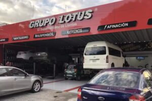 Grupo Lotus Minerva