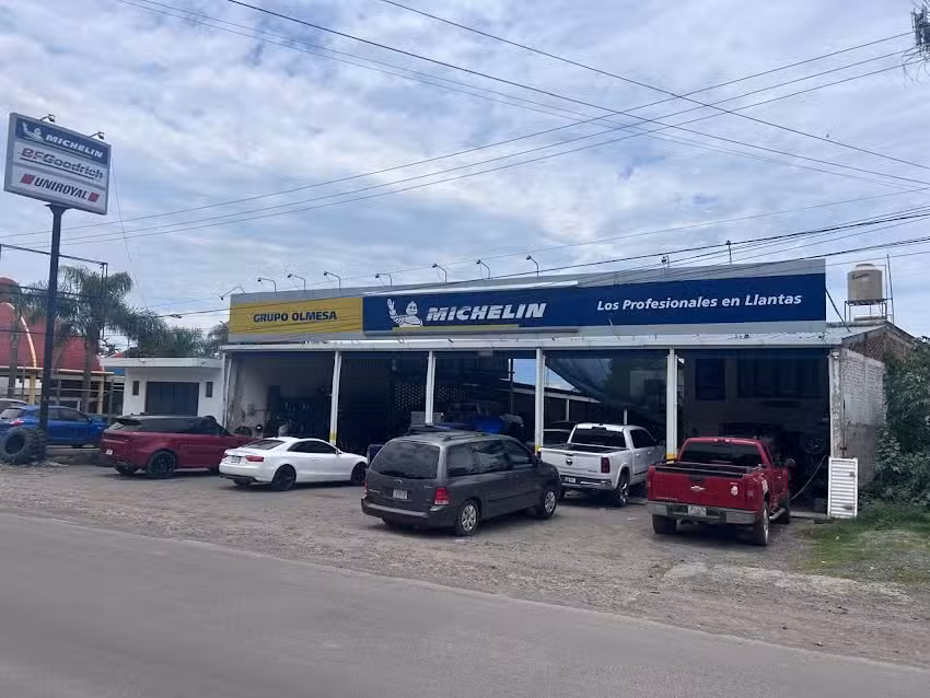 GRUPO OLMESA