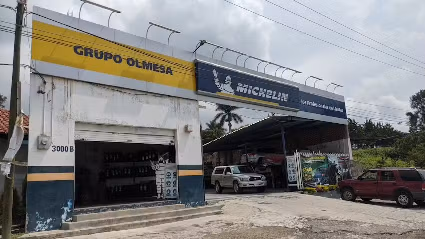 Grupo Olmesa