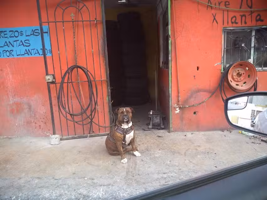 La Llantera mu&ntilde;oz