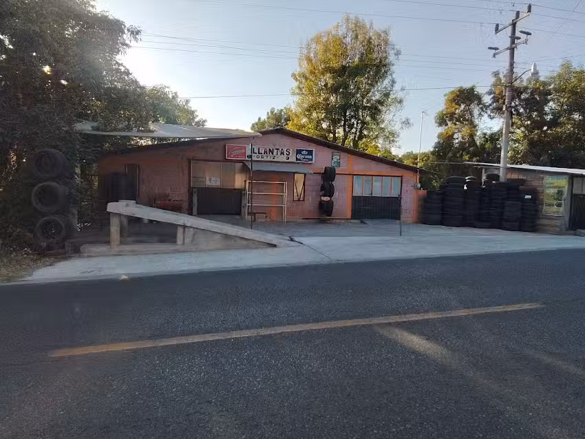 Llantas Ortiz Coatepec Harinas