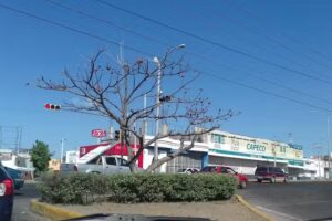 Llantas Royal de Sinaloa &ndash; Matriz