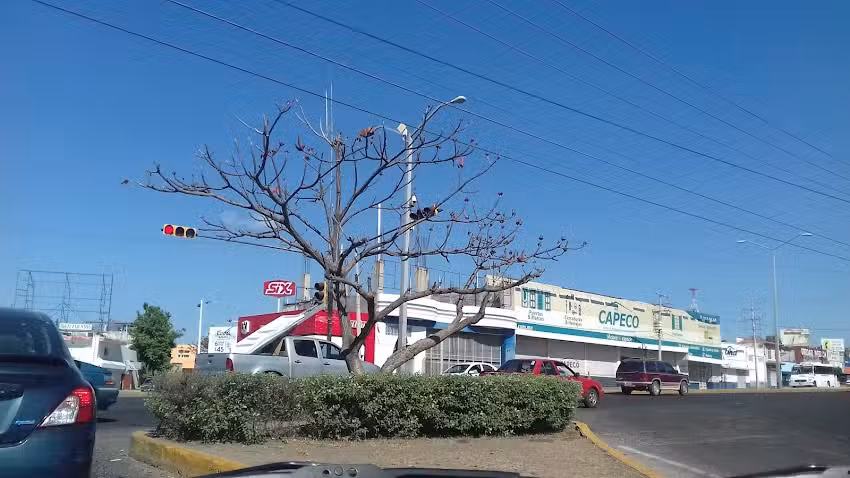 Llantas Royal de Sinaloa &ndash; Matriz