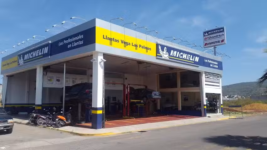 Llantas Vega Las Palmas Michelin