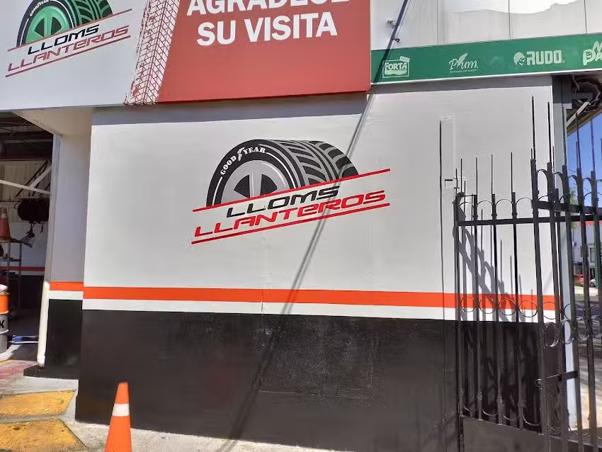 Llantas y Rines Advance