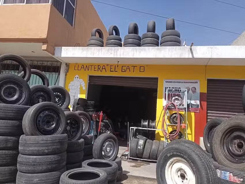 Llantas y rines el gato