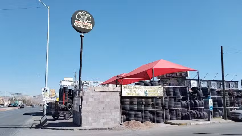 Llantera Big Perro