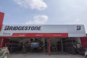 Llantera Bridgestone Diana