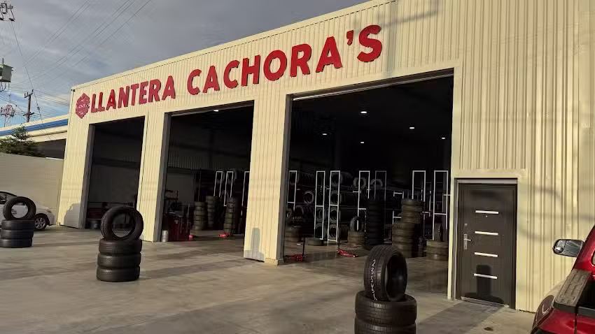 LLANTERA CACHORA&acute;S LOMBARDO
