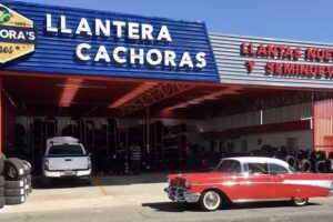 LLANTERA CACHORAS | Llantas Nuevas y Seminuevas