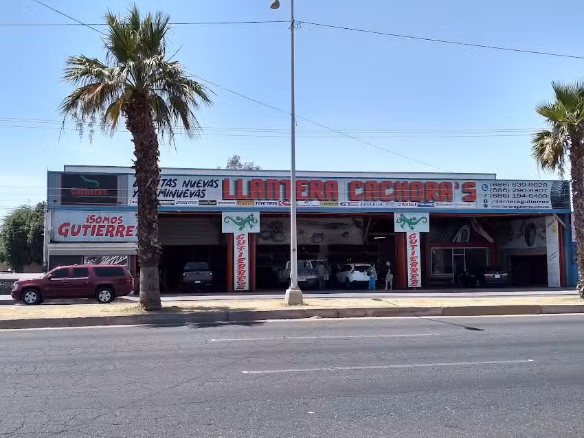 LLANTERA CACHORAS SUCURSAL TER&Aacute;N