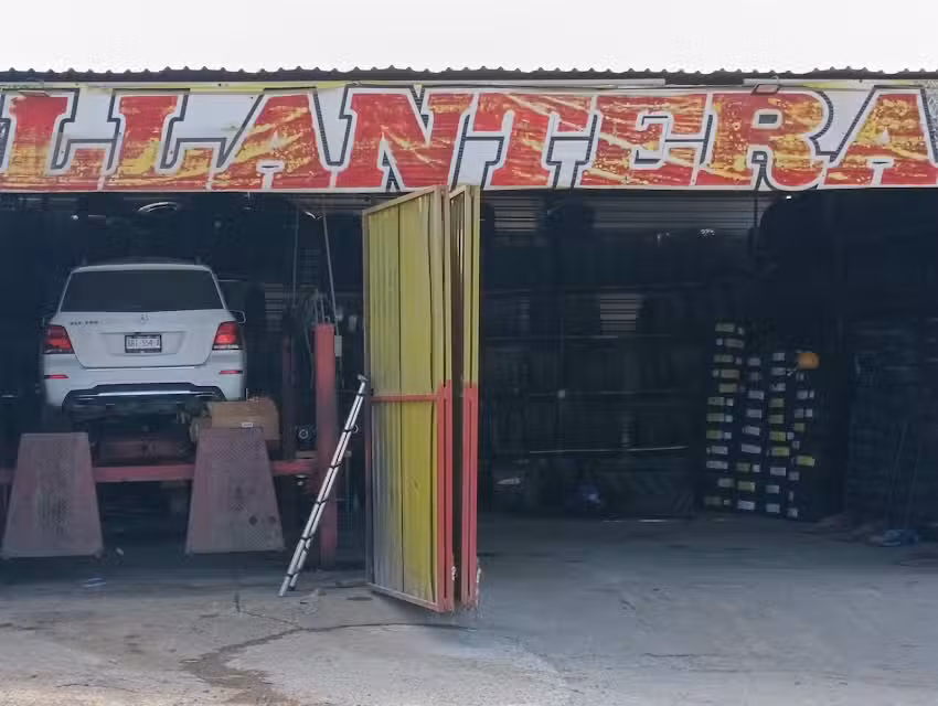 Llantera cedros