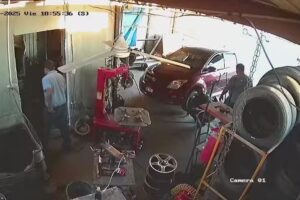 Llantera dayali