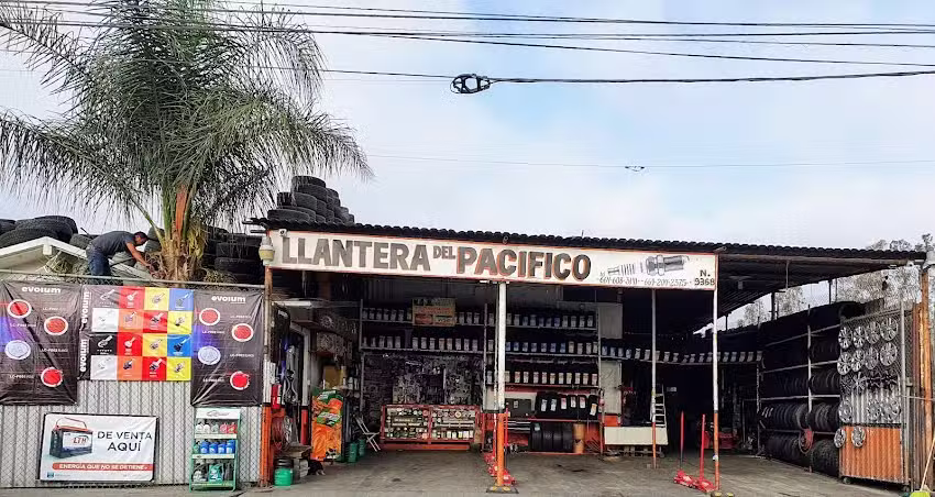 Llantera del Pac&iacute;fico