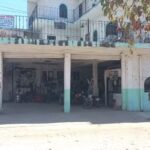 LLantera del Pac&iacute;fico