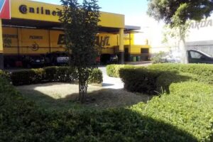 LLANTERA DONKEY DE MÉXICO SA DE CV
