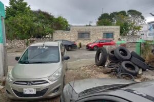 Llantera Dzore