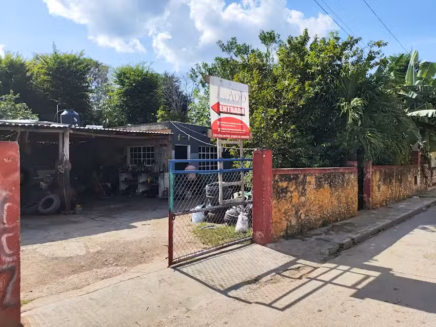 Llantera el amigo Wado