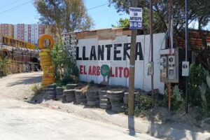 Llantera el Arbolito 2000