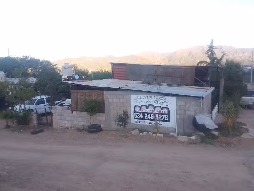 Llantera El cachorro
