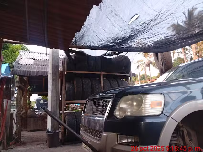 Llantera el Jicote