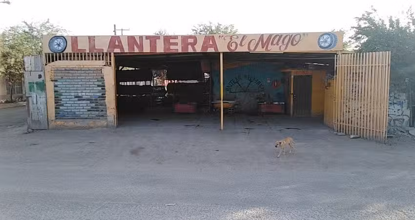 LLANTERA &ldquo;EL MAGO&ldquo;